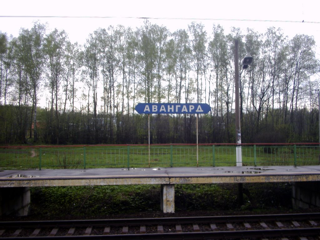 Platforma Avangard (2005), Лукино