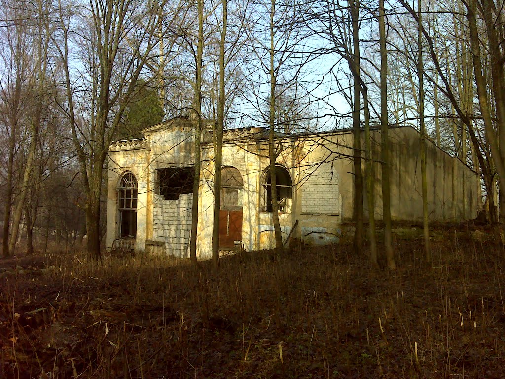 Усадебный дом в Воздвиженском, Лукино