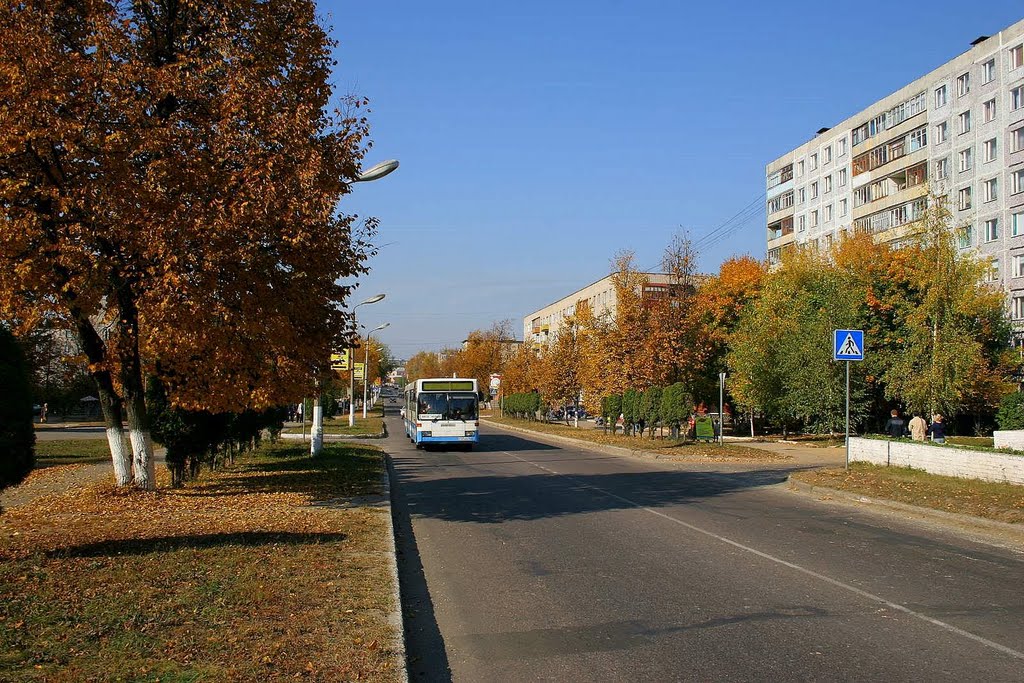 улица Жуковского в г. Луховицы, Луховицы