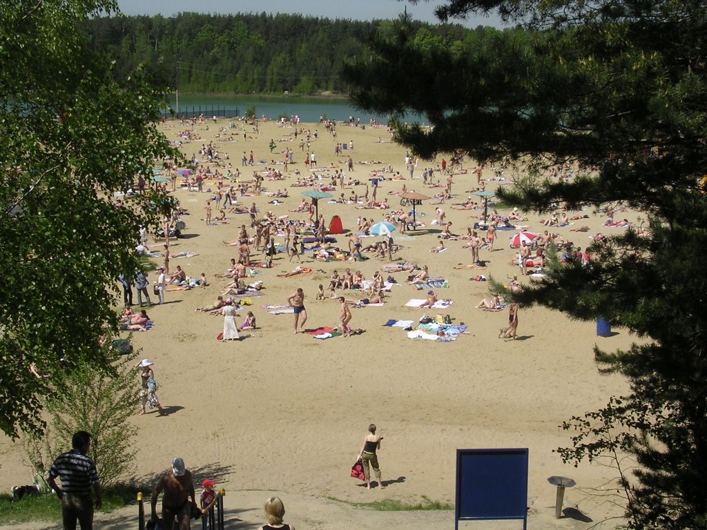 View on lake (Volkusha), Лыткарино