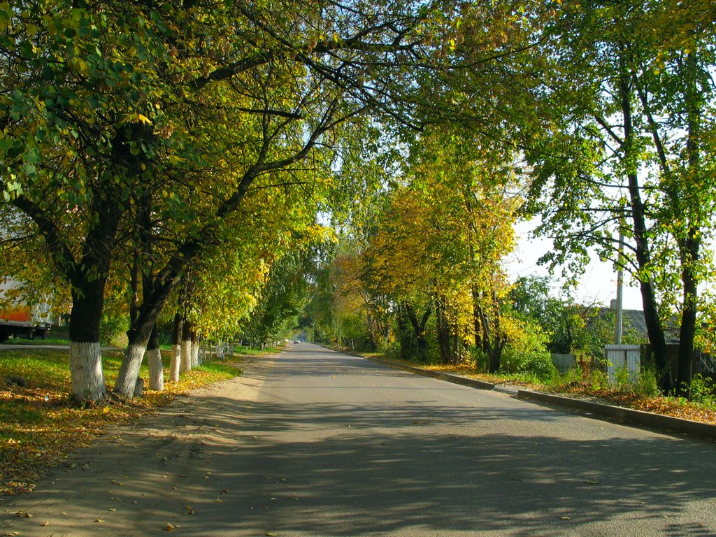 Осень на Колхозной улице / The autumn on the Kolkhoznaya  street, Лыткарино