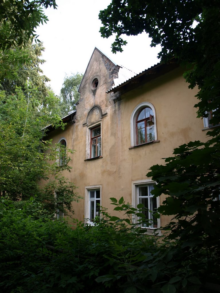 Дом на улице Горького, Львовский