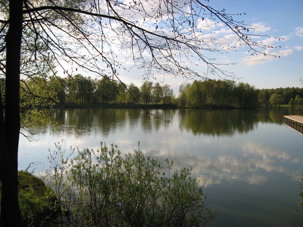 Лаговский пруд, Львовский