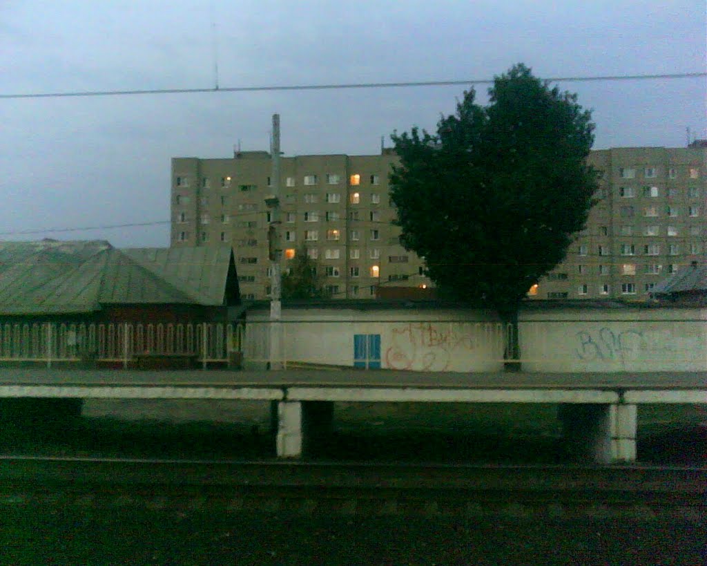 Вид с ж/д платформы Львовская. Август 2010., Львовский