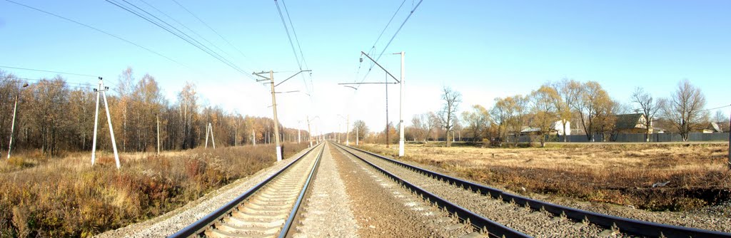 The railway near Lvovsky, Львовский
