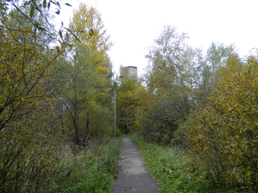 Тротуар в лесу, Львовский