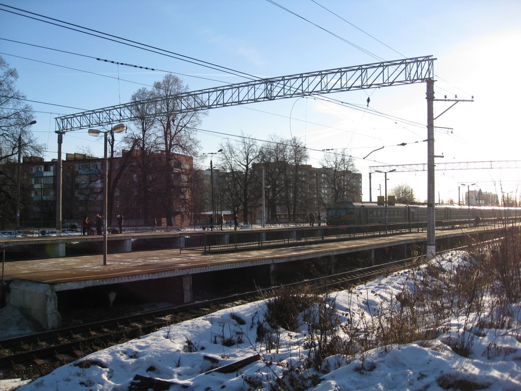 ЖД станция Львовская  вид со стороны леса на Юго, Львовский