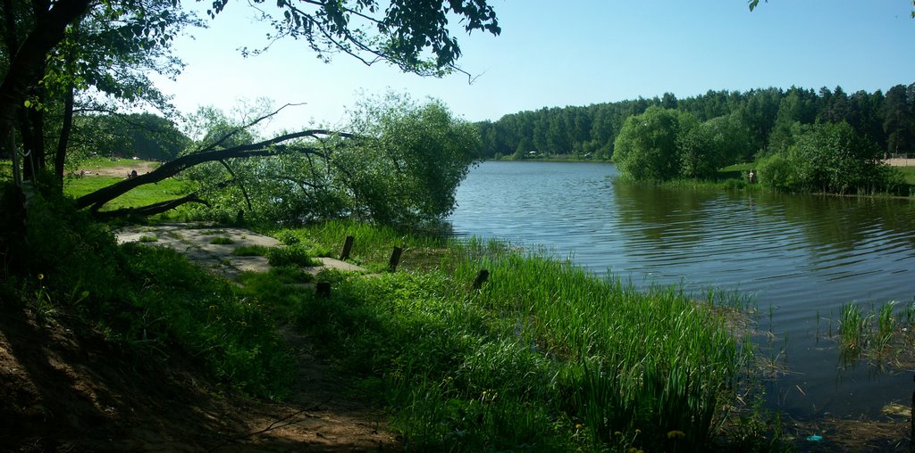 Малаховское озеро, май 2009, Малаховка