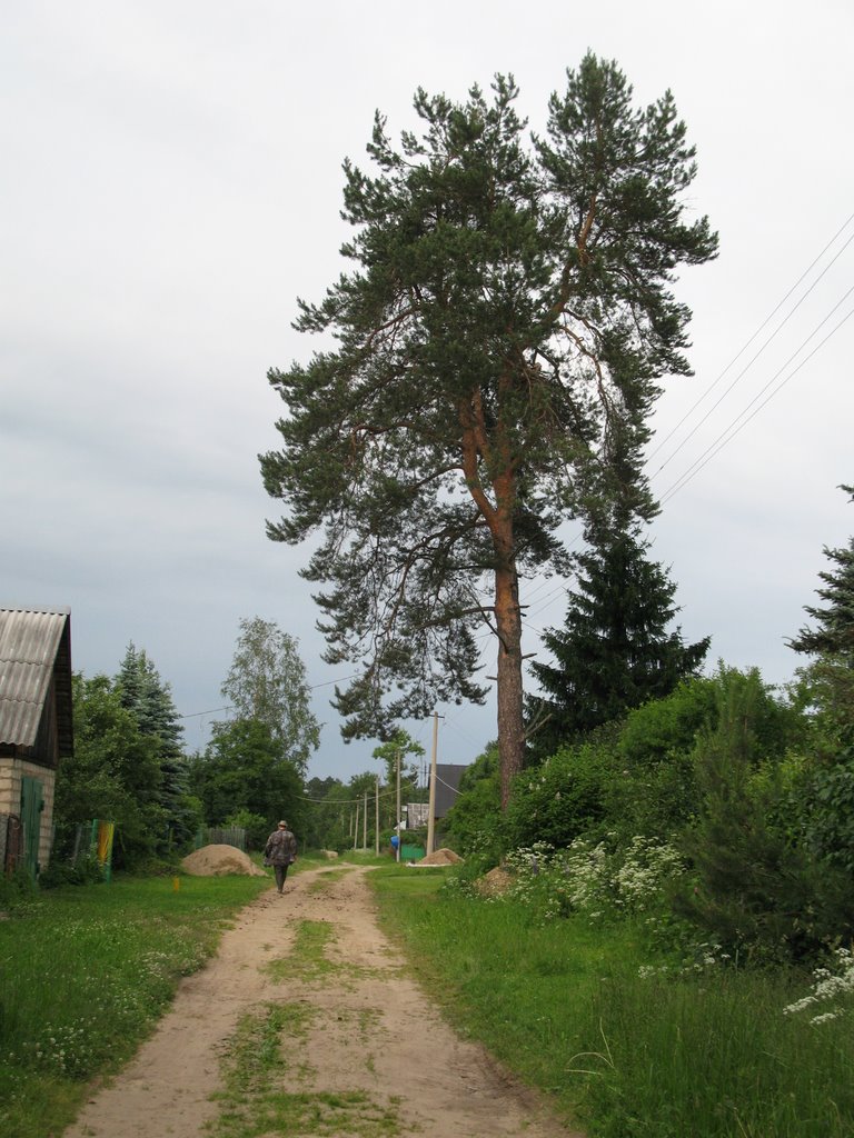 Деревня Лычёво, Михайловское