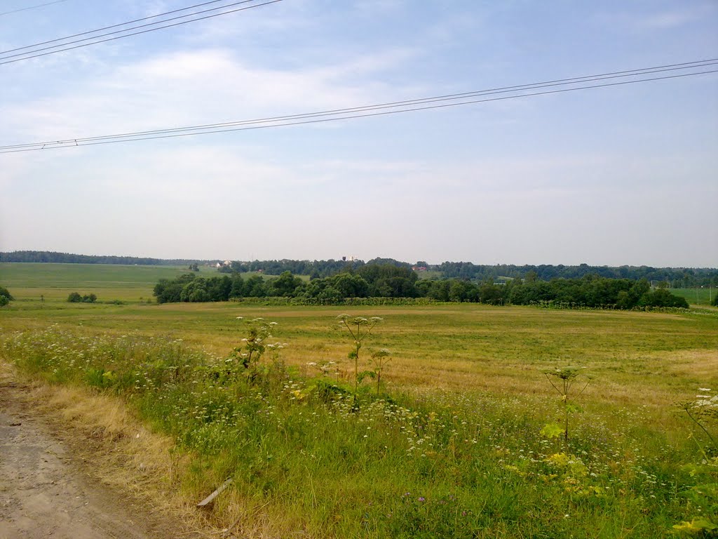 Вид на Барково, Михайловское