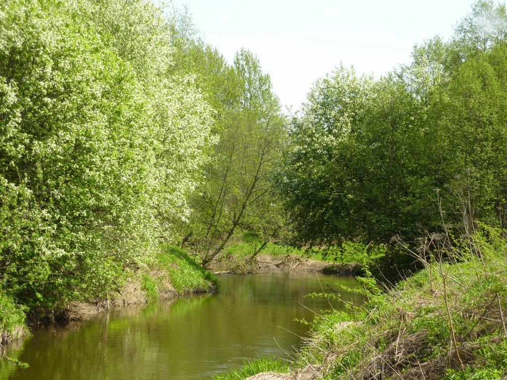 Речка Торгоша поздней весной, Михайловское