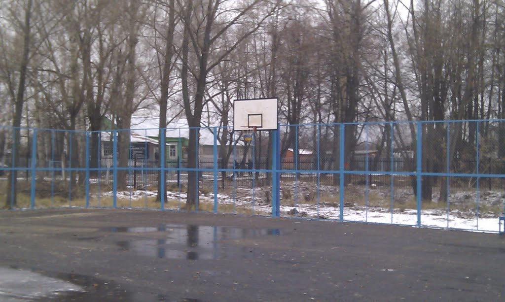 Баскетбольная площадка в Парке Культуры Михнево., Михнево