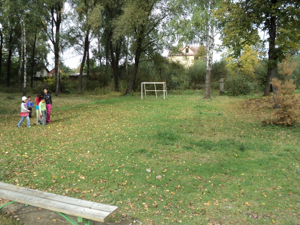 Площадка для мини футбола в Парке Культуры Михнево., Михнево