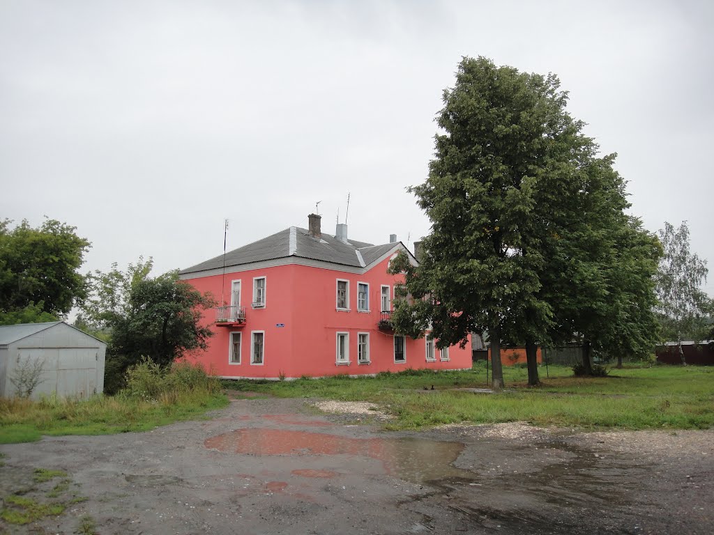 Красный дом foto-planeta.com, Михнево