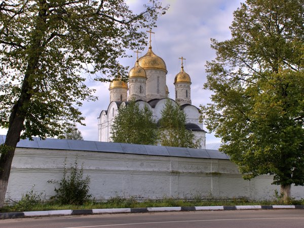 Лужецкий Богородицкий Ферапонтов мужской монастырь, Можайск