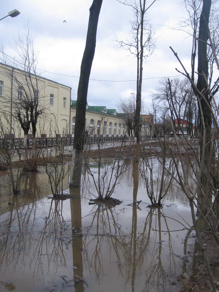 Потоп на Московской улице., Можайск