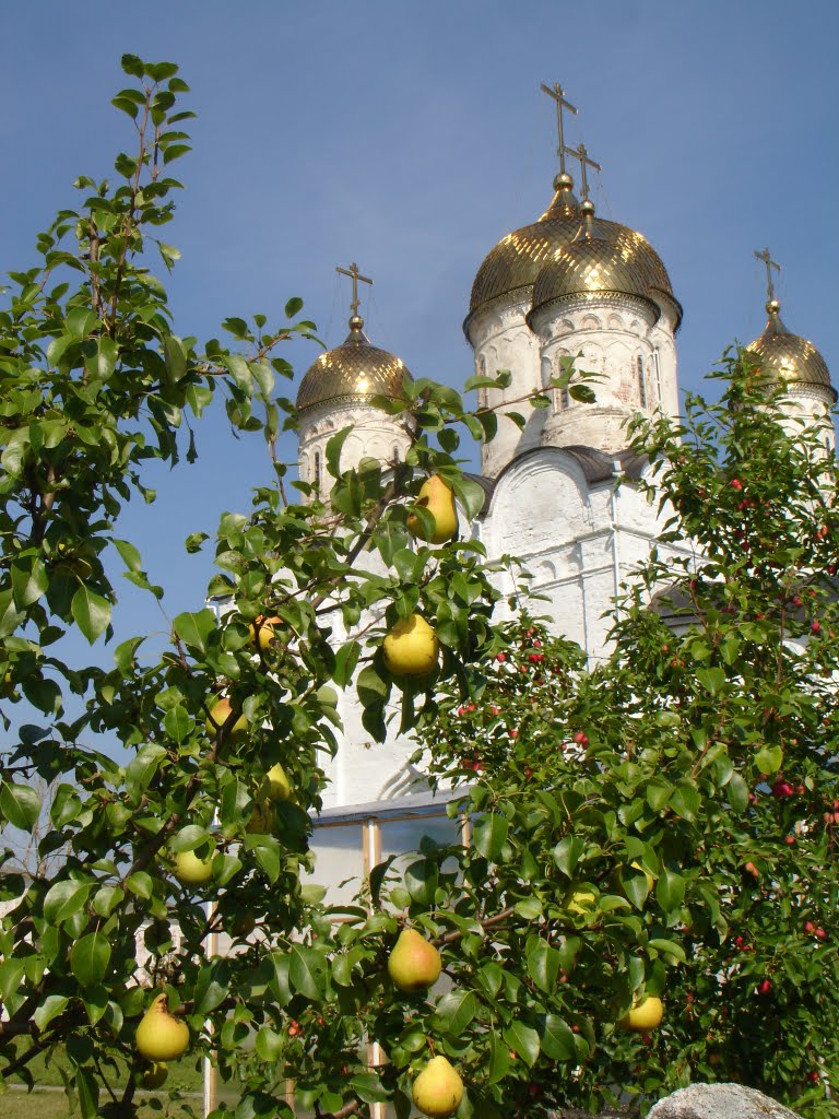 В монастырском саду, Можайск