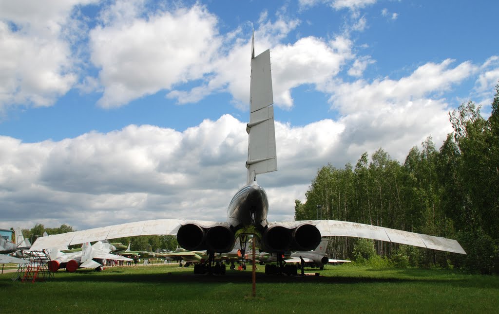 Ту-144 (вид сзади), Монино