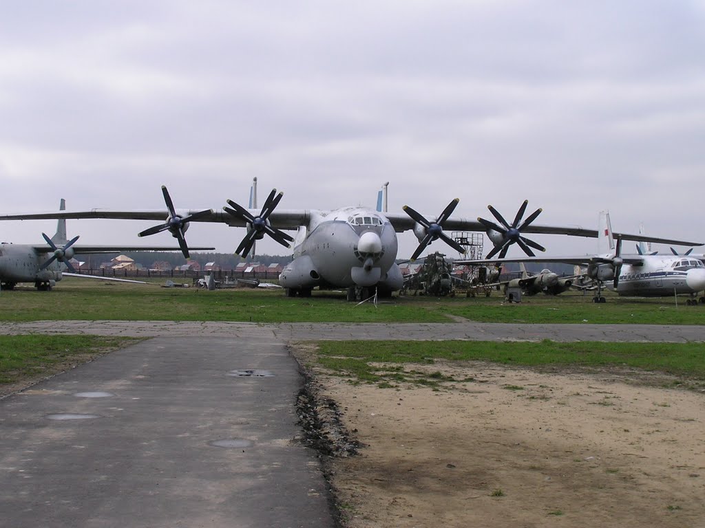 An-22, Монино