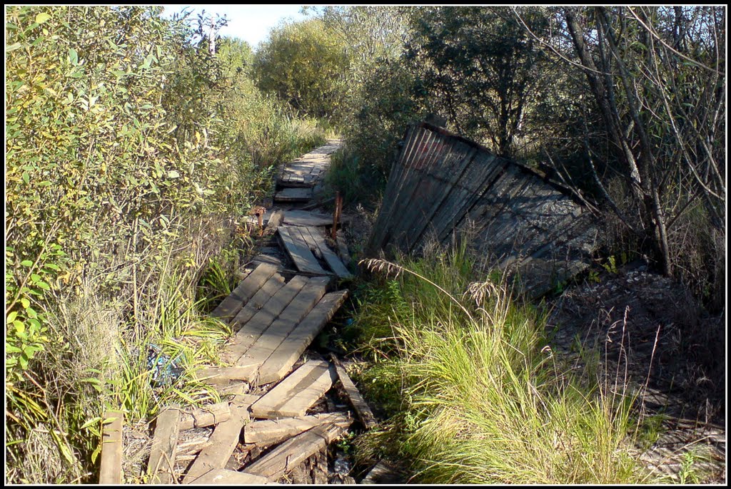 Мостки через болото, Нахабино