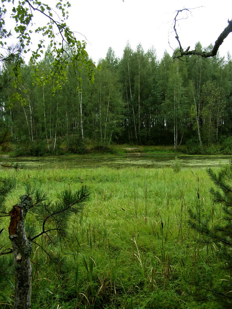 В лесу, Некрасовка