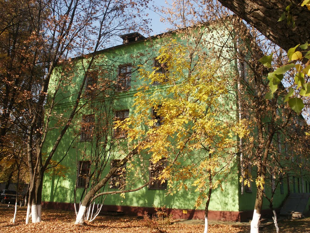 Дом в Новоивановском. House in Novoivanovskoe, Немчиновка