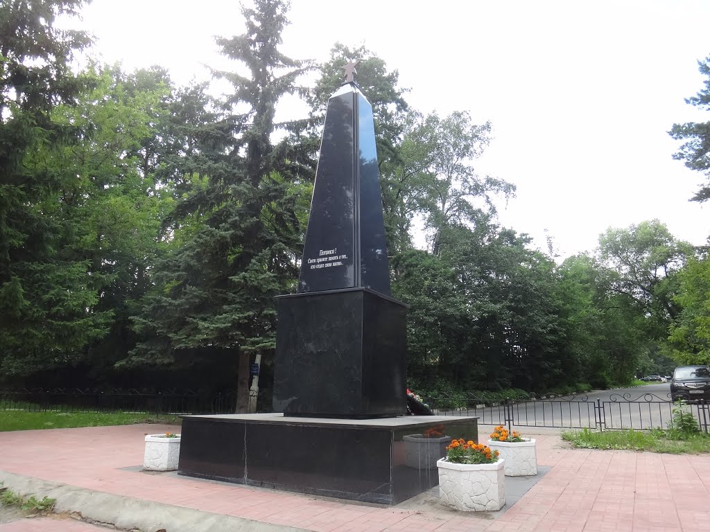 Памятник погибшим в ВОВ, Немчиновка