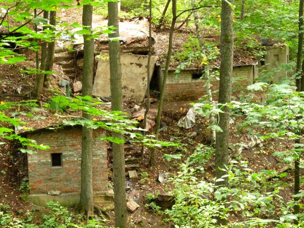 Непонятные руины в парке (бывшие хозяйственные постройки)., Новобратцевский