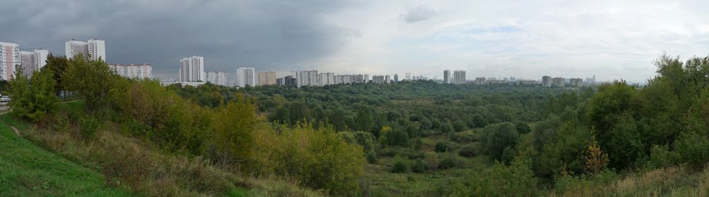 Сходненский ковш (сентябрь 2010), Новобратцевский