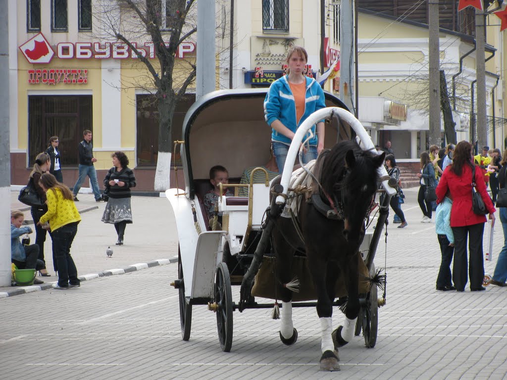 местный транспорт, Ногинск
