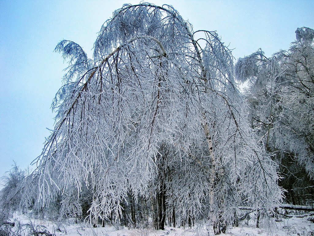 Ice Tree, Ногинск