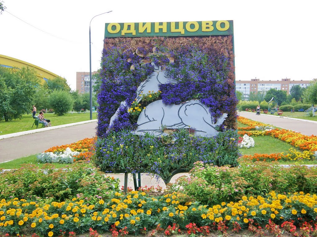 Герб города Одинцово., Одинцово