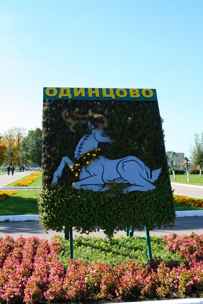 Odintsovo emblem, Одинцово