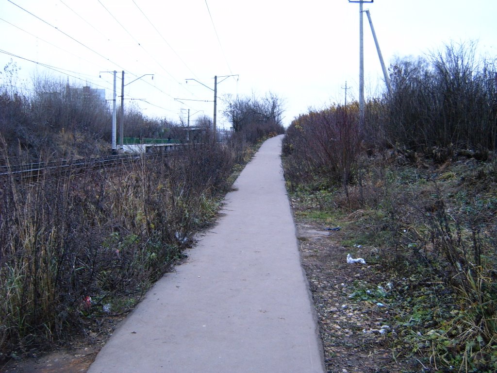 Тропинка к платформе (www.lutchezar-yasenev.ya.ru), Одинцово