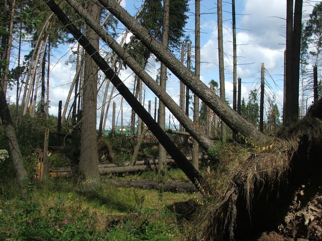 Ураган в мае 2009-го, Опалиха