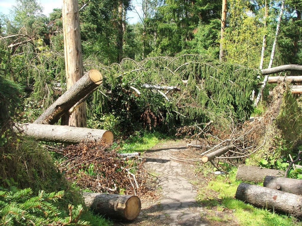 Ураган в мае 2009-го, Опалиха