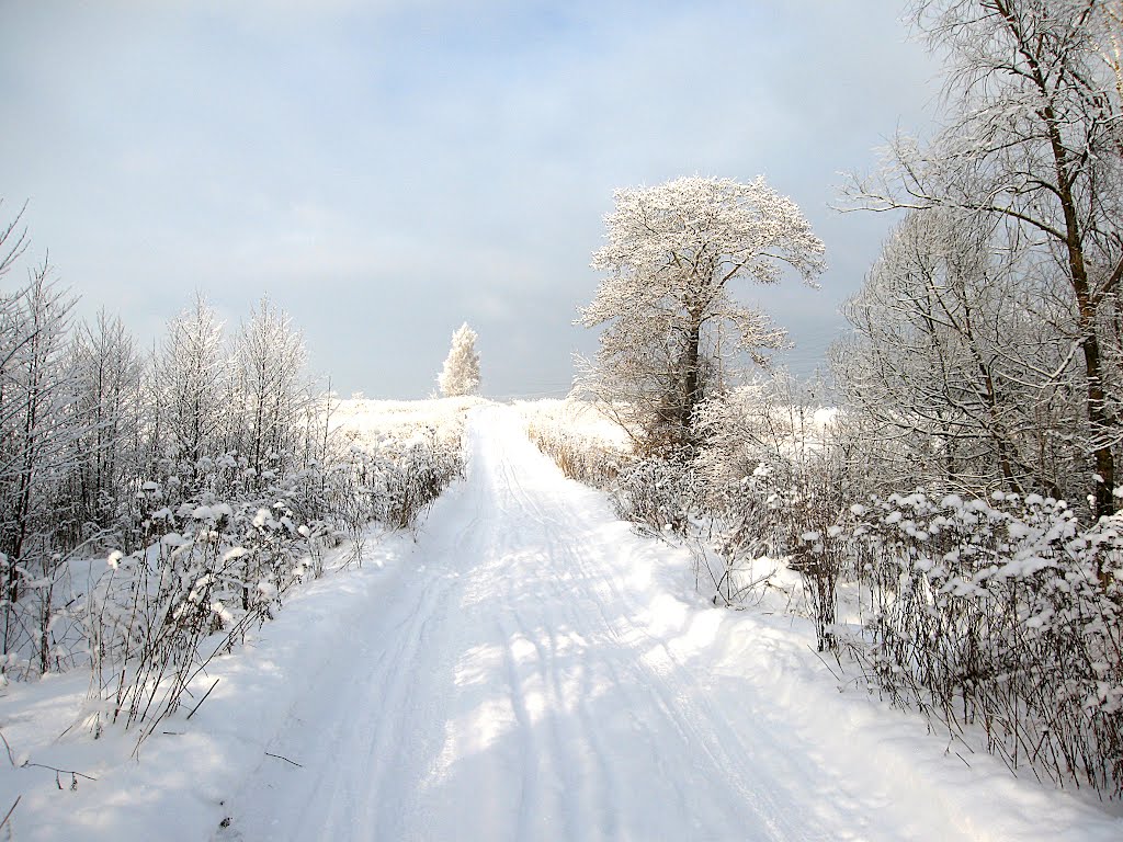 winter road, Пески