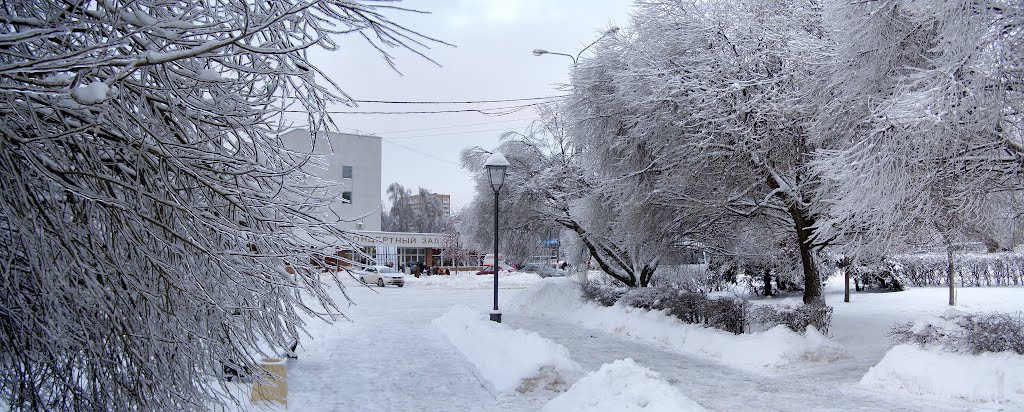 Сквер у Концертного Зала после "Ледяного дождя" (Подольск), Подольск