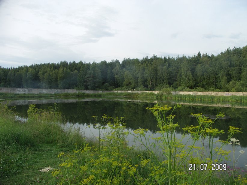 Pond, Правдинский