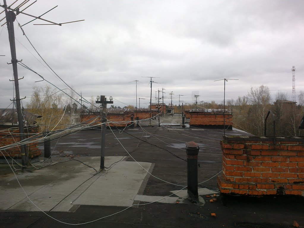 Крыша / Roof, Правдинский