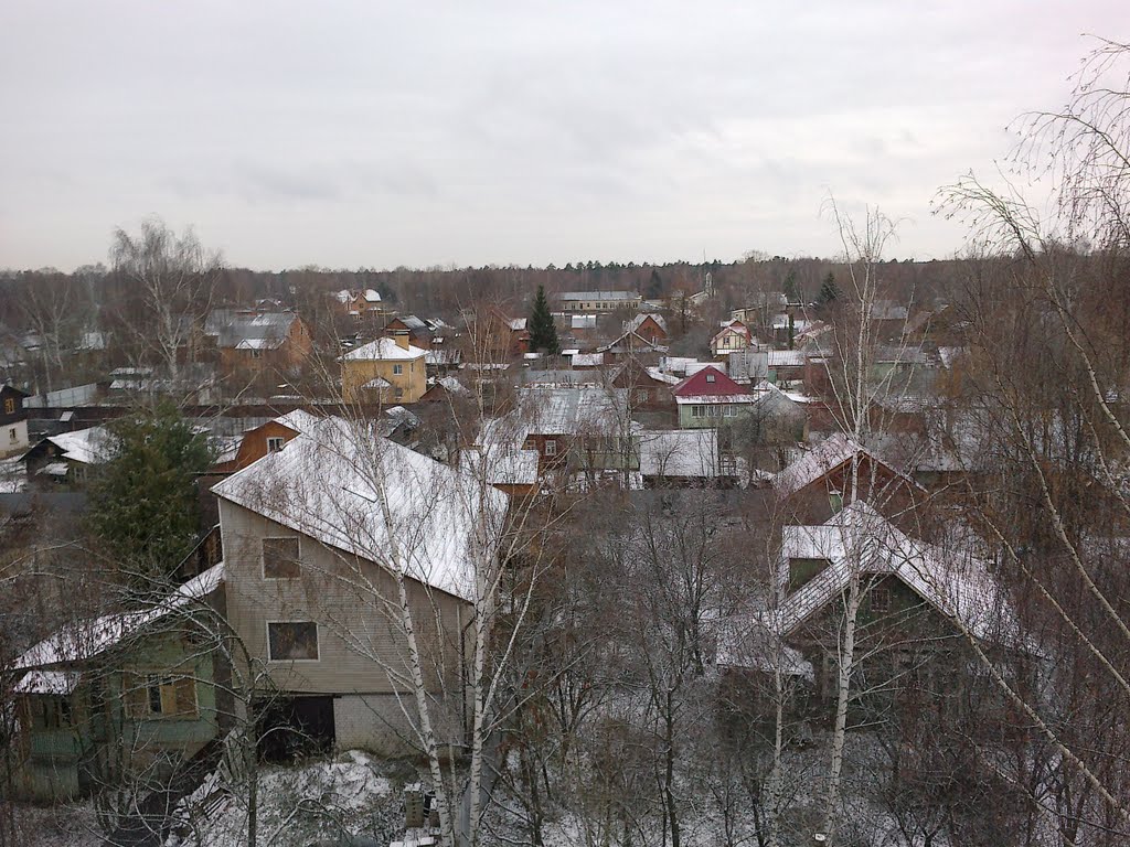 Дома с крыши / Houses with roofs, Правдинский