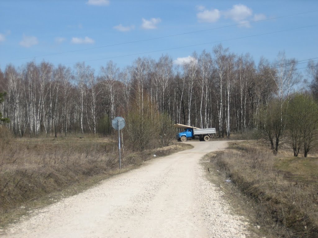 Дорога к лесу, Пролетарский