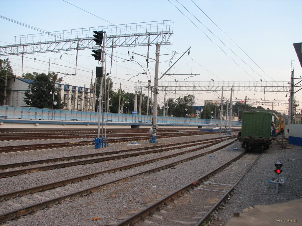 The railways / Наша железка, Пушкино