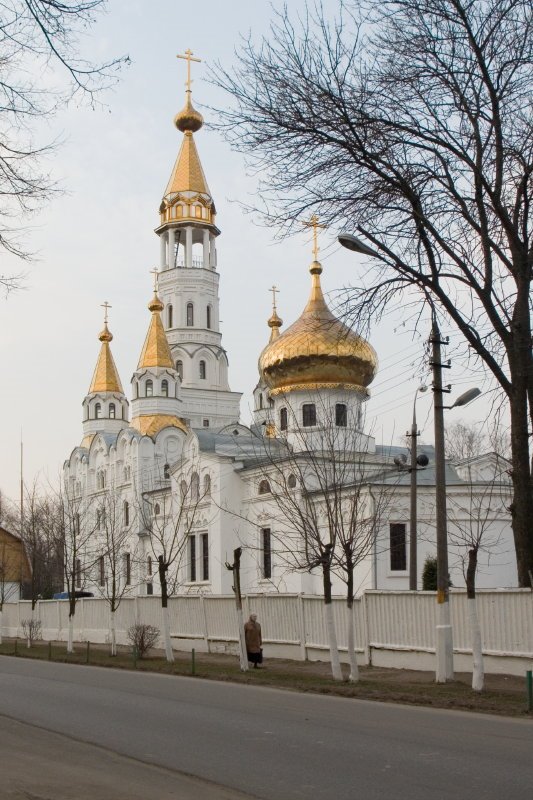 Theophany Temple of the Virgin-Icon, Пушкино