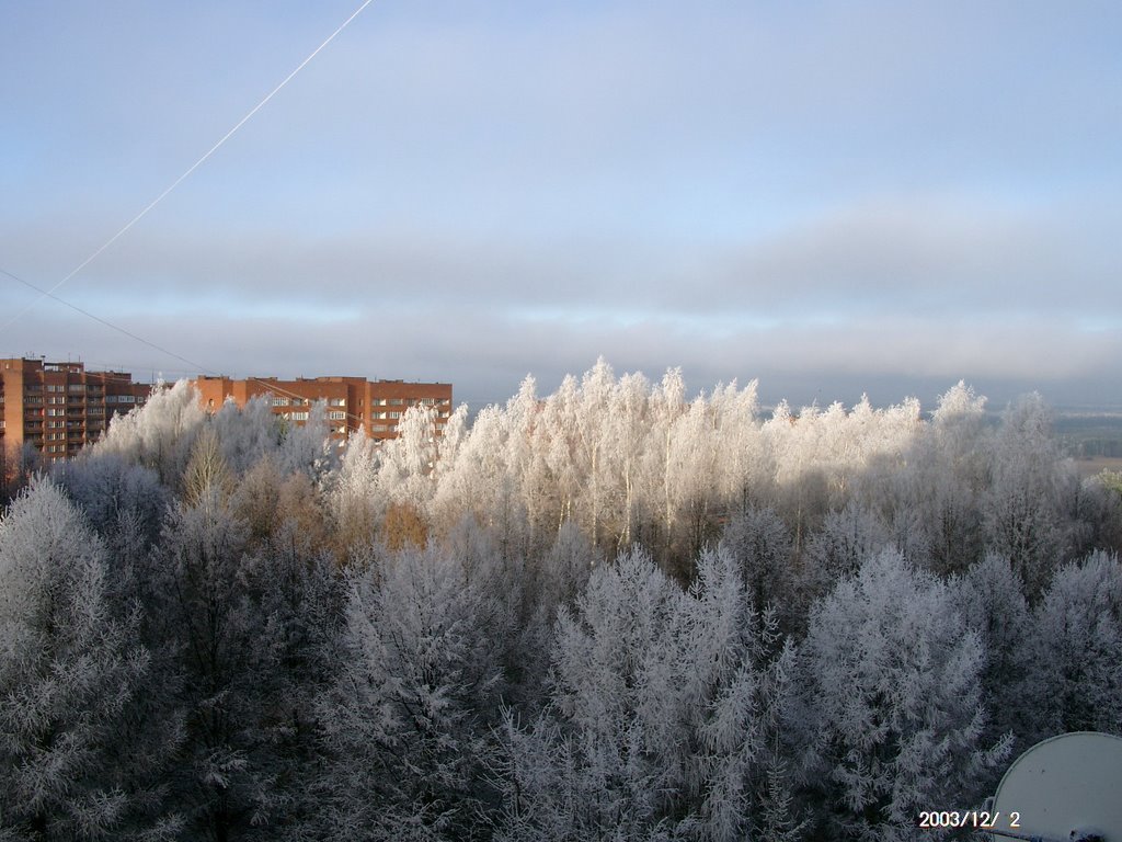 Больше не работает: МБОУ гимназия Пущино, гимназия, Московская область, городско
