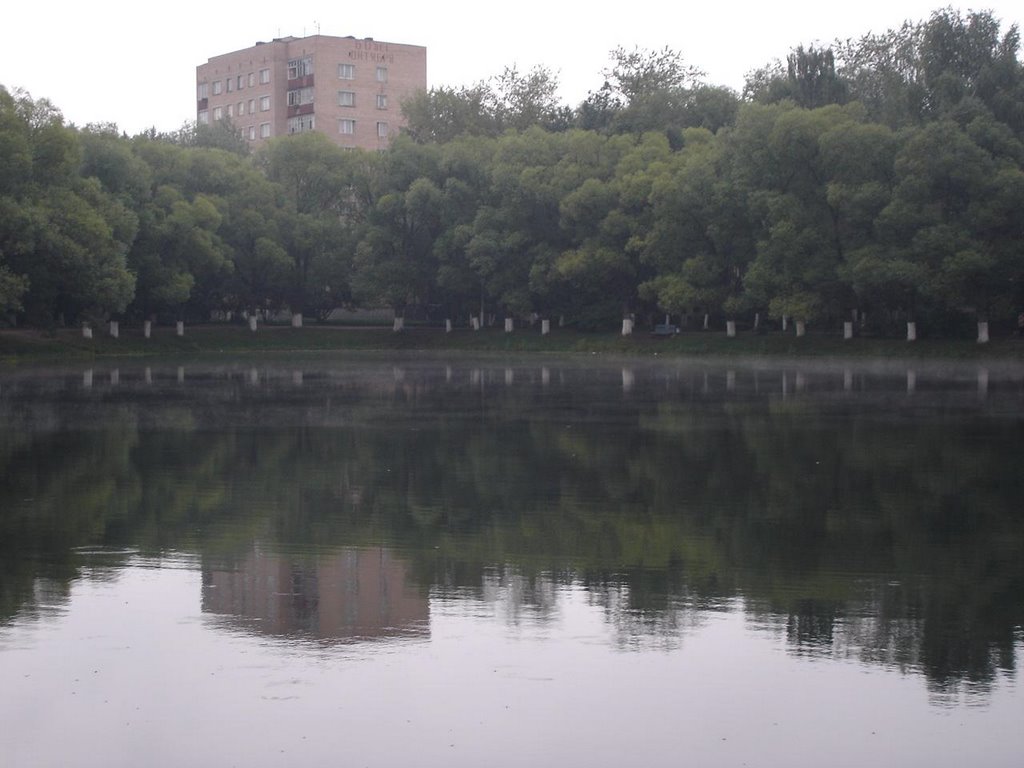 Раменское, пруд. Лето 2005 г., Раменское