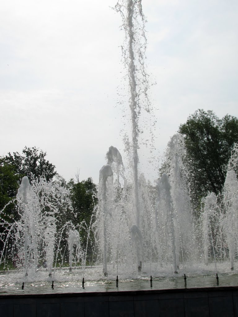 фонтан, Реутов