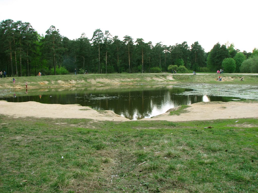 Pond in the forest, Реутов