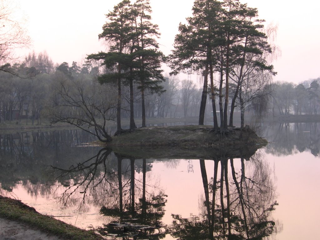 Озеро в Быково, Родники