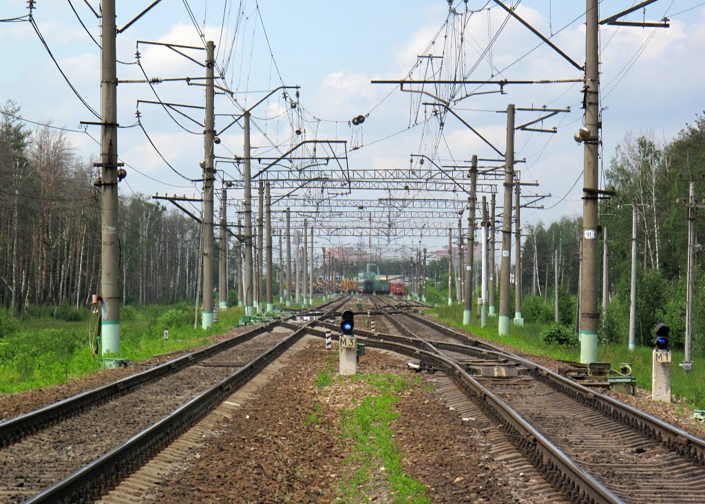 Овражки московская область городской округ люберцы фото Овражки московская область городской округ люберцы фото